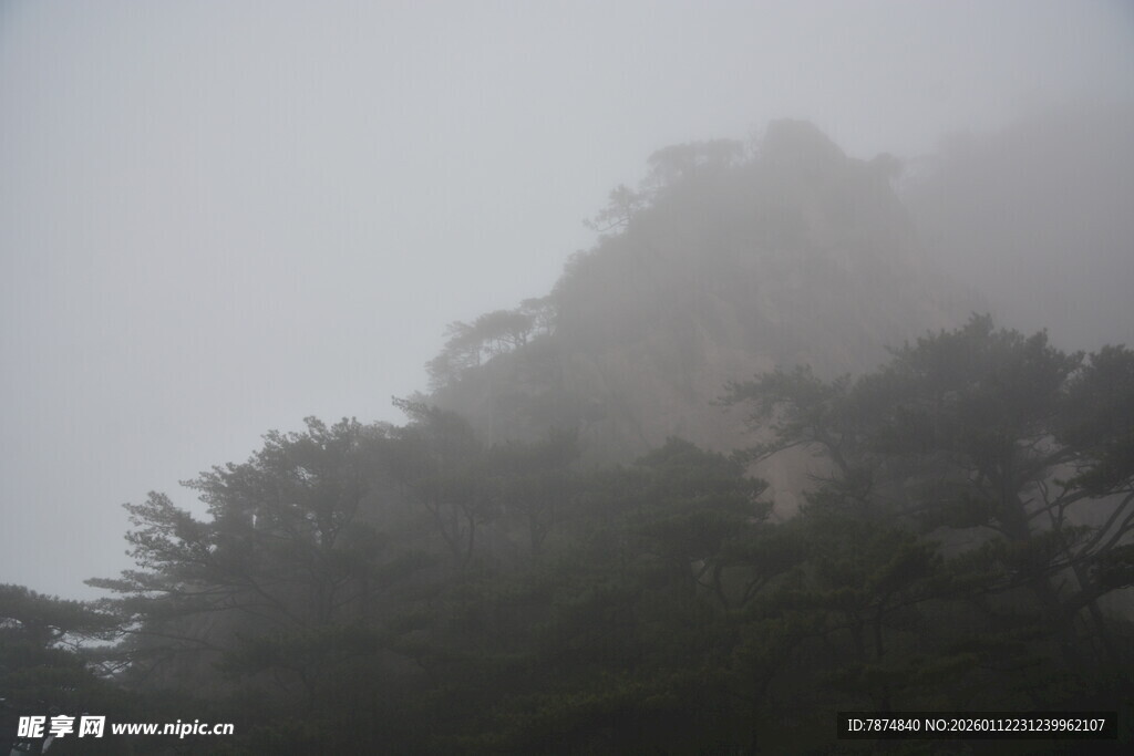 云雾缭绕中的山林景色