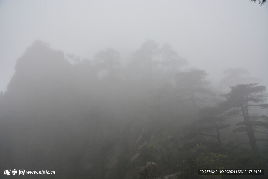 雾中朦胧山林景