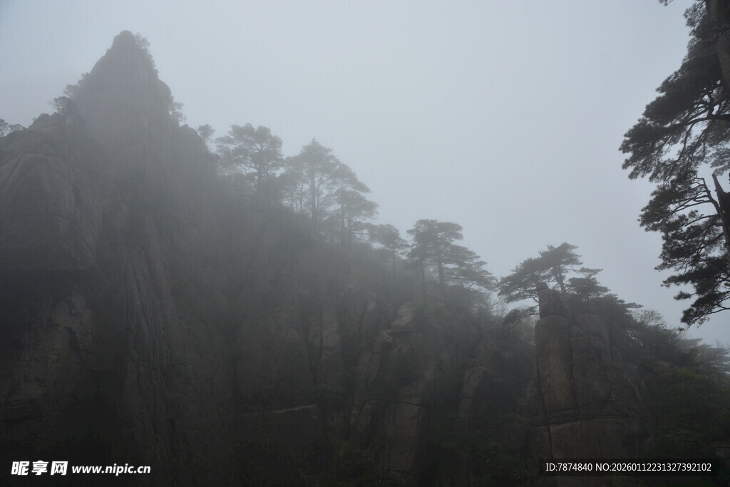 雾中峻岭 松影绰约