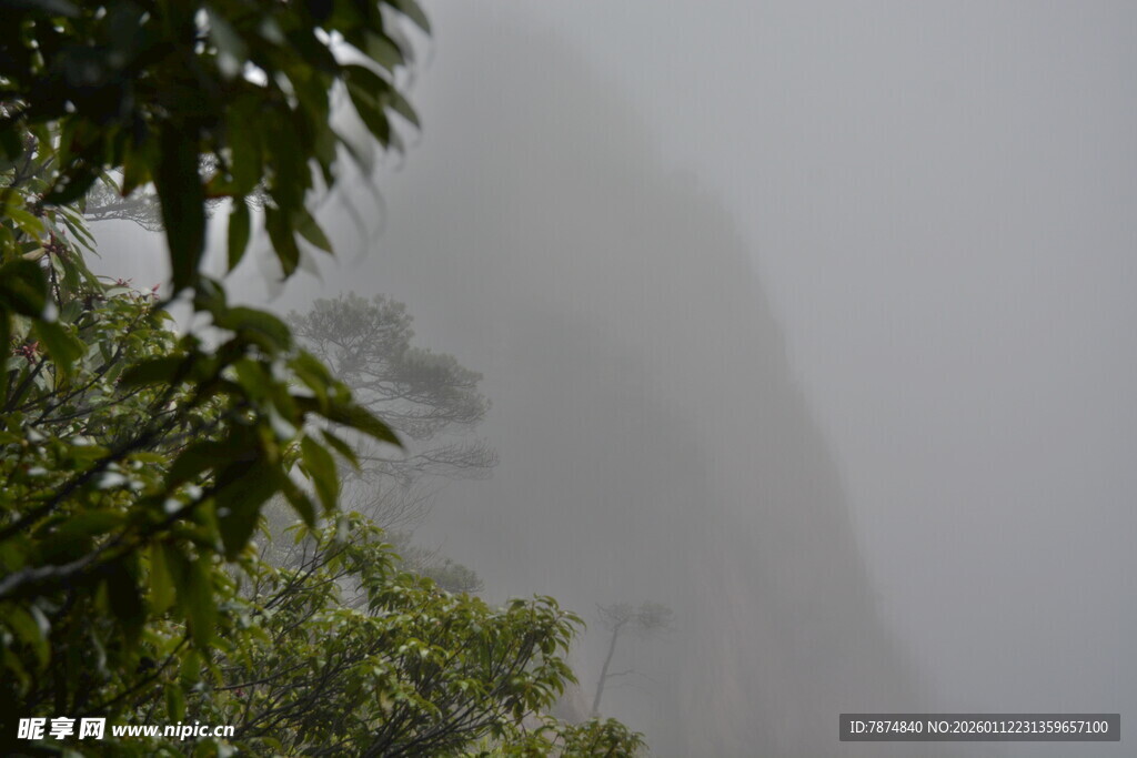 雾中青山伴绿树
