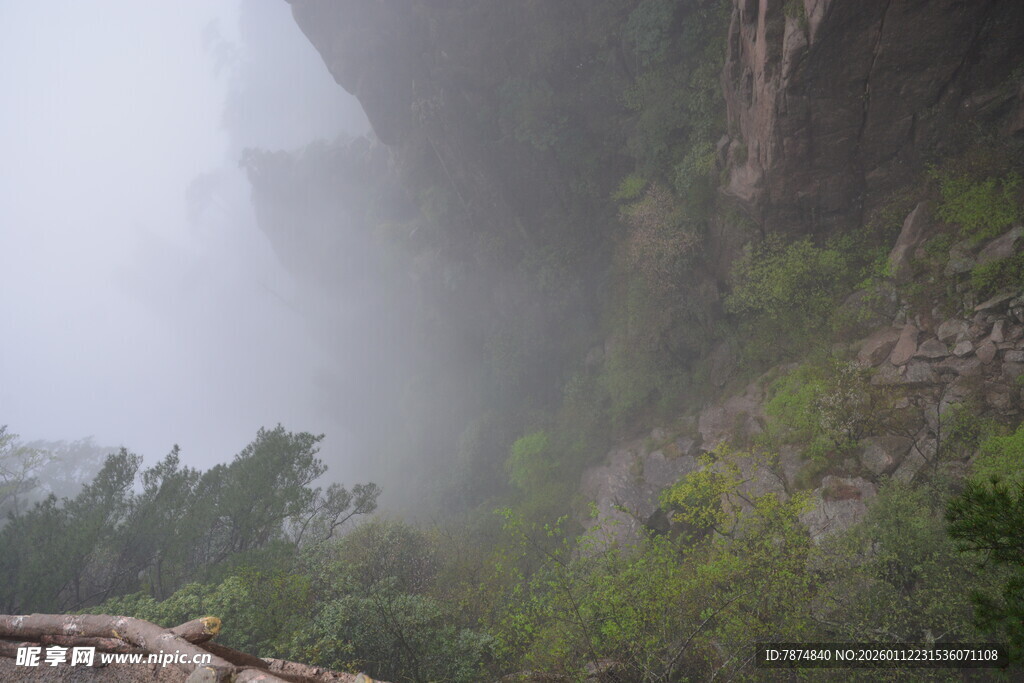 山间迷雾中的葱郁景致