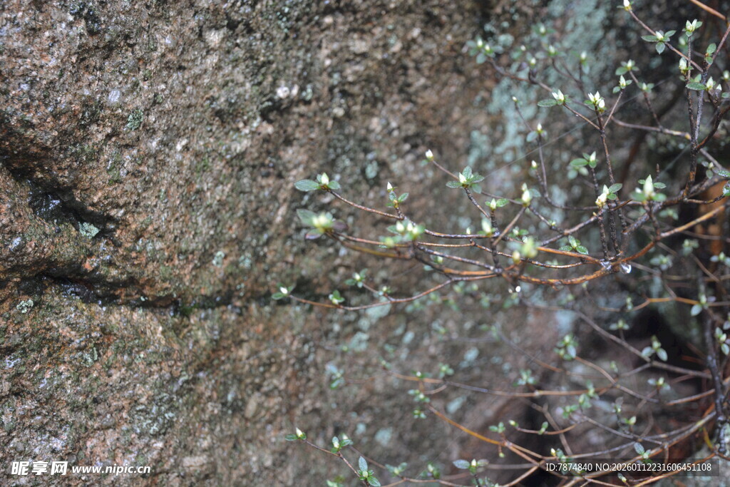 地面上的碎石与散落杂物
