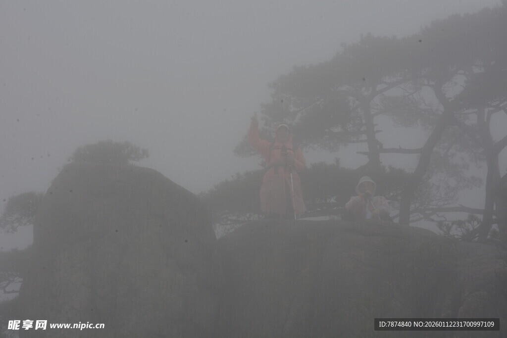 雾中朦胧山林景象