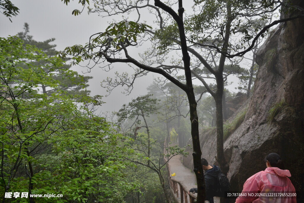 山林间的雨中徒步之旅