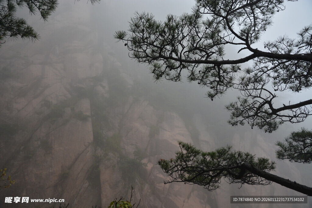 雾中峻岭与松景
