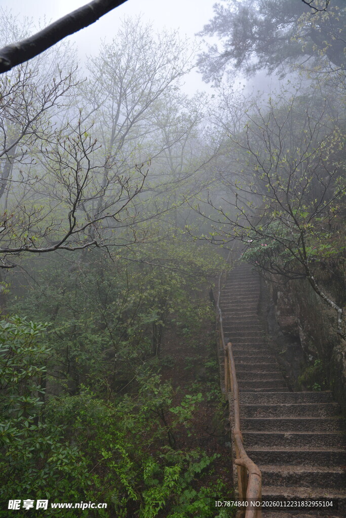 雾中蜿蜒的山林木质阶梯