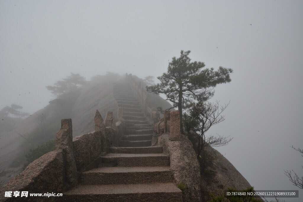 雾中石阶 孤树挺立