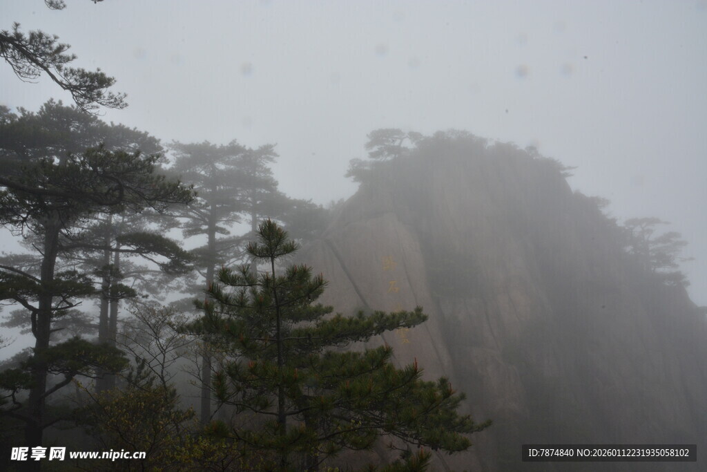 云雾缭绕的山林景观