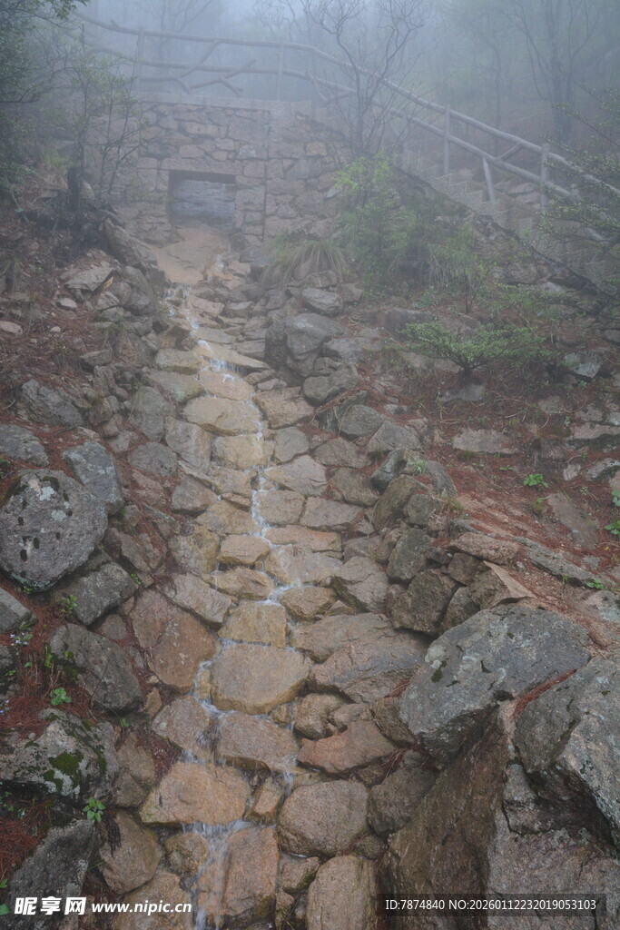 雾中石板小径 静谧自然景