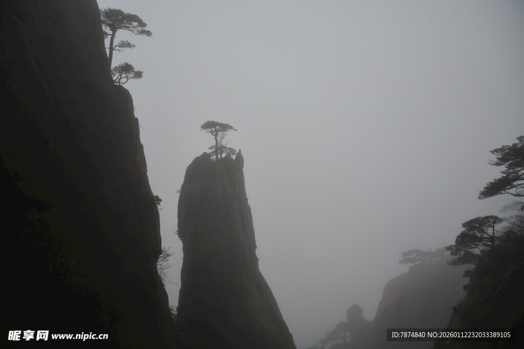 雾中奇峰景观