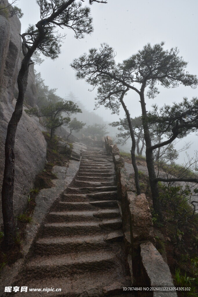 雾中登山石阶与孤松