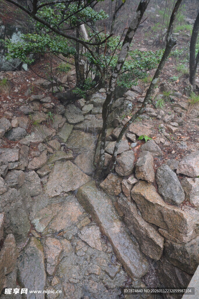 山间石径 自然野趣景致