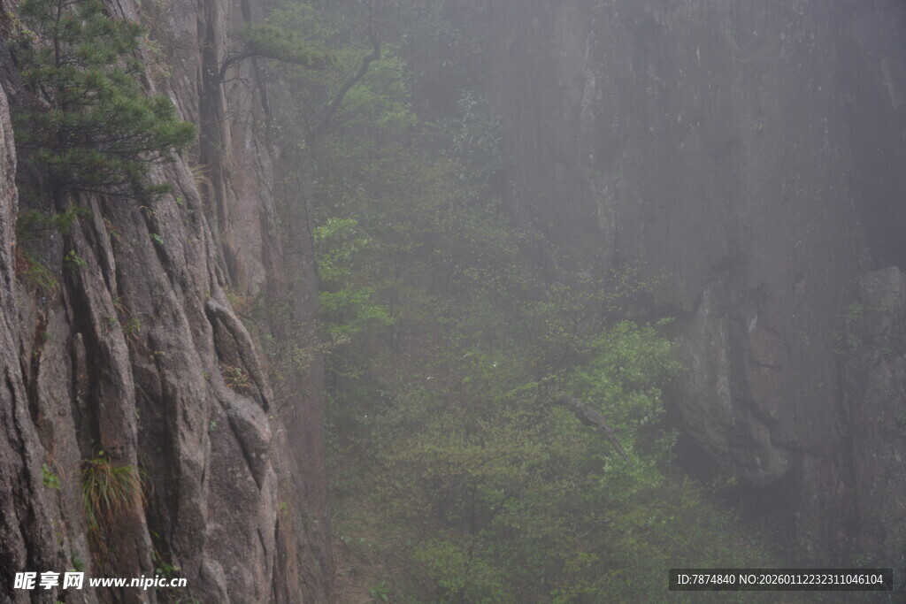 雾中峻峭山壁与绿意