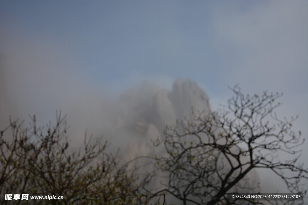 云雾缭绕中的山林景致