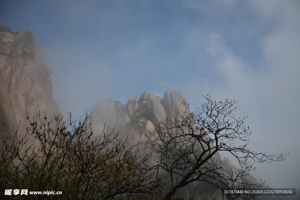 云雾缭绕的山景与枯树