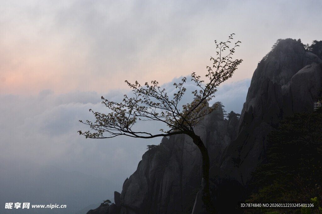 山巅孤树映霞光