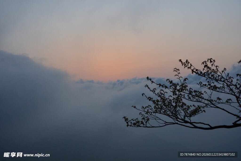 雾霭中枝头映天边霞光