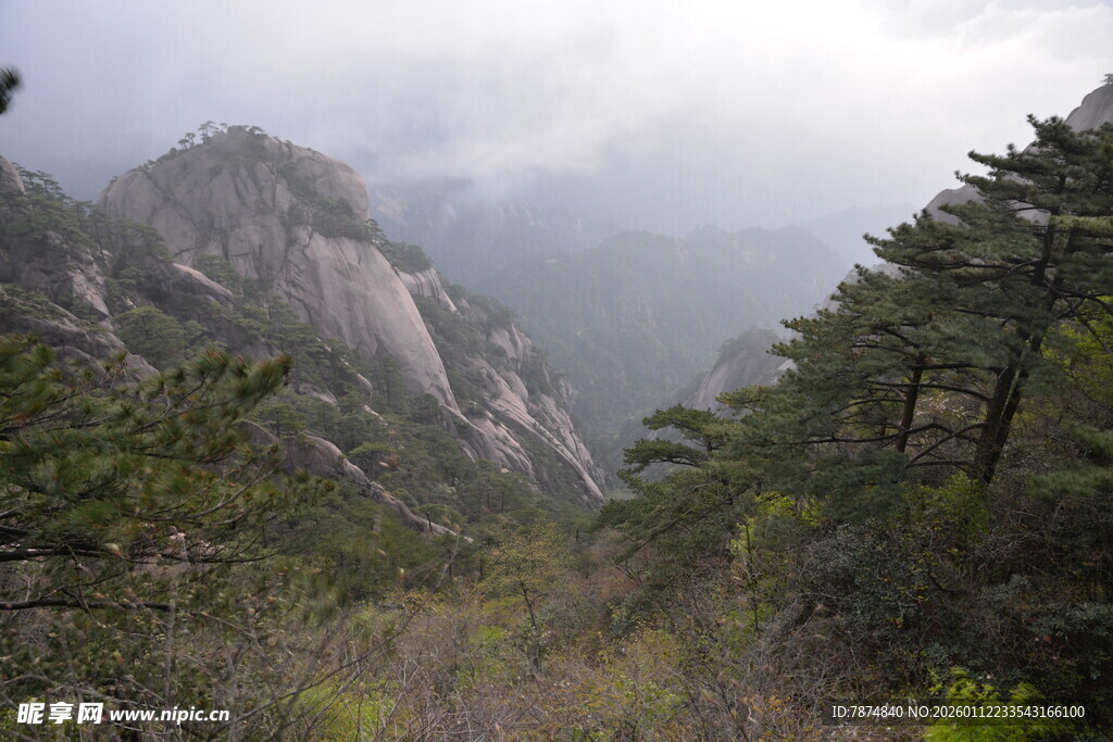 云雾缭绕的山林美景