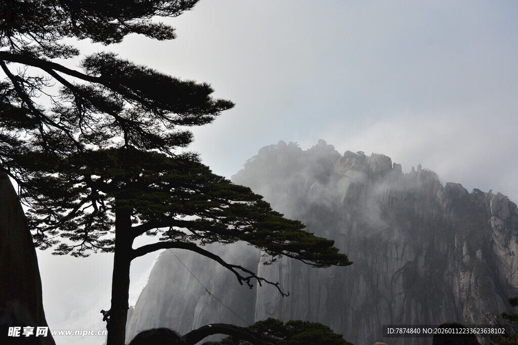黄山松与云雾缭绕山峦