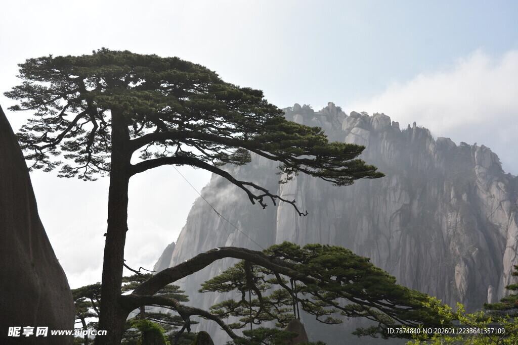 黄山奇松与巍峨山峦