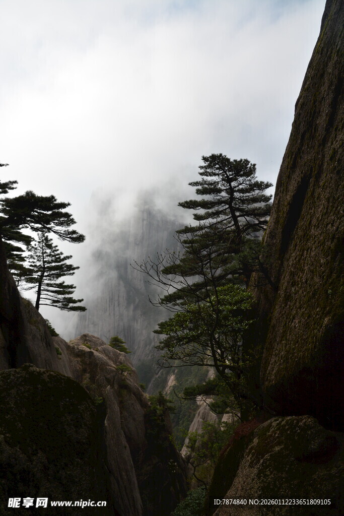 云雾缭绕的险峻山间松景
