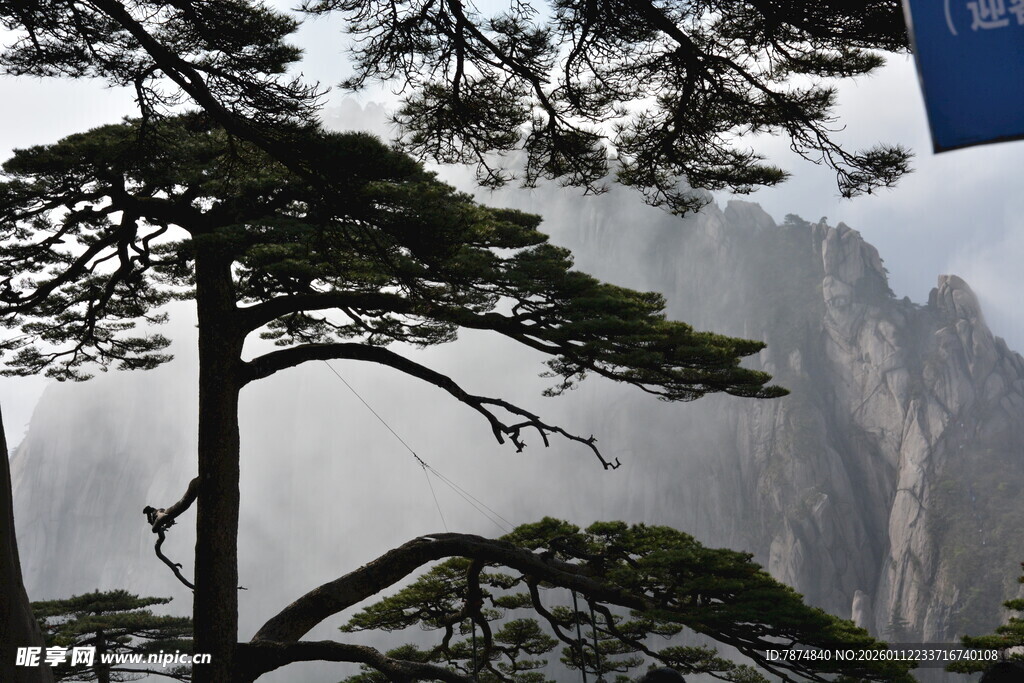 黄山奇松与山峦景致