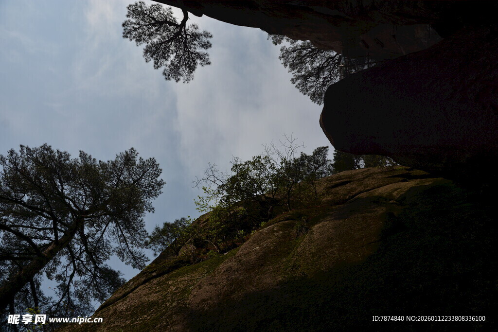 仰视山间树木与岩石