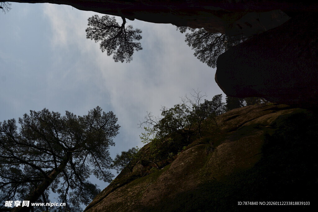 仰视山间树木与岩石