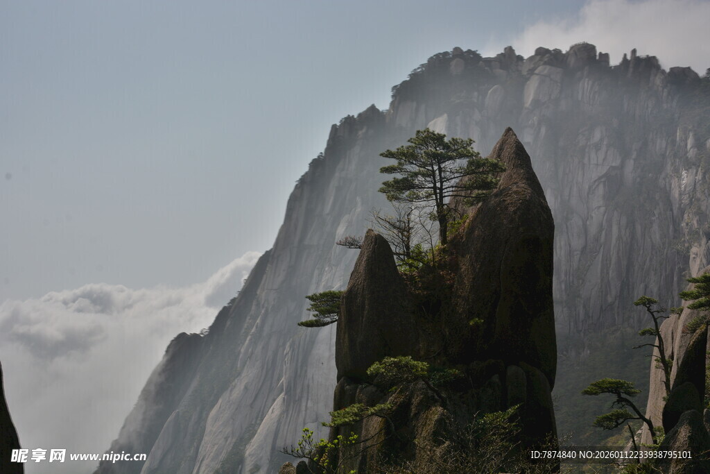巍峨黄山奇峰 孤松挺立