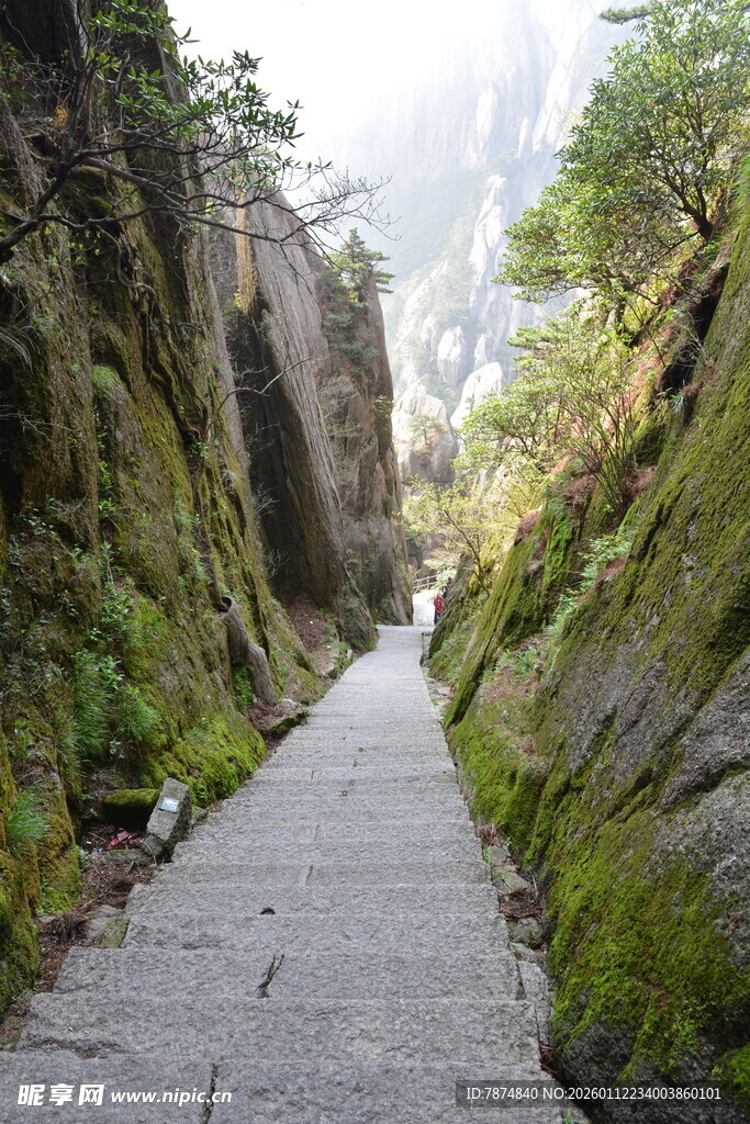 山间幽径 绿意盎然的小道