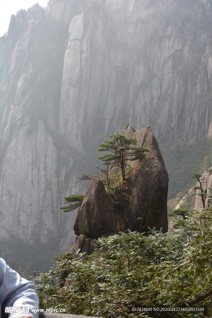黄山奇峰上的孤松