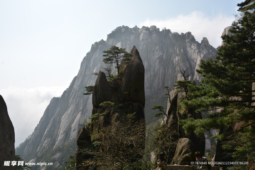 巍峨山峰与葱郁林木