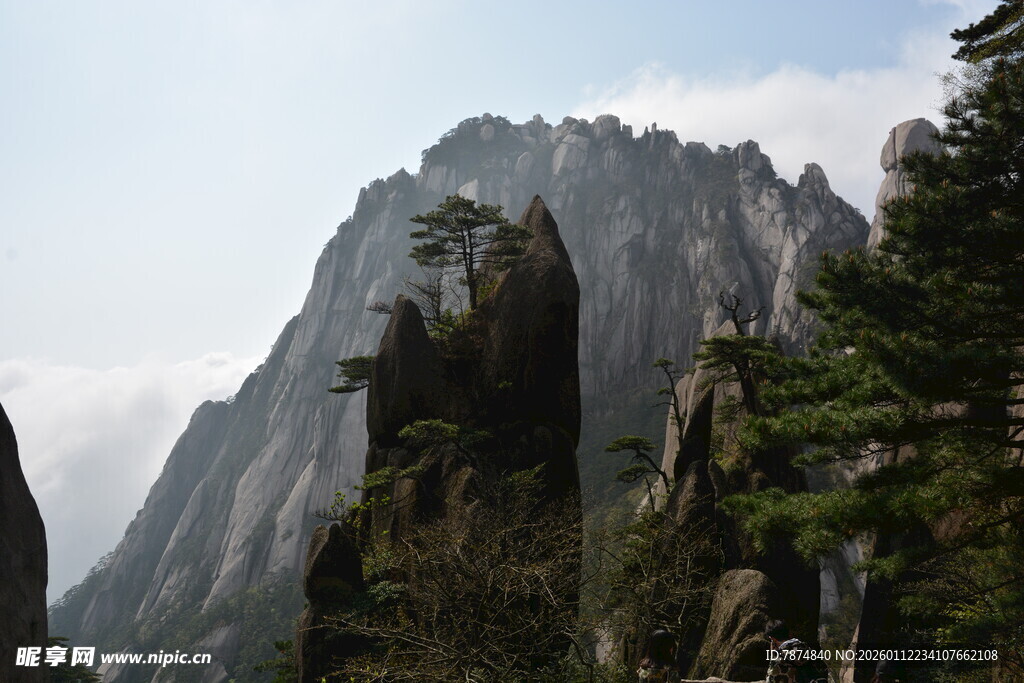 巍峨山峰与葱郁林木