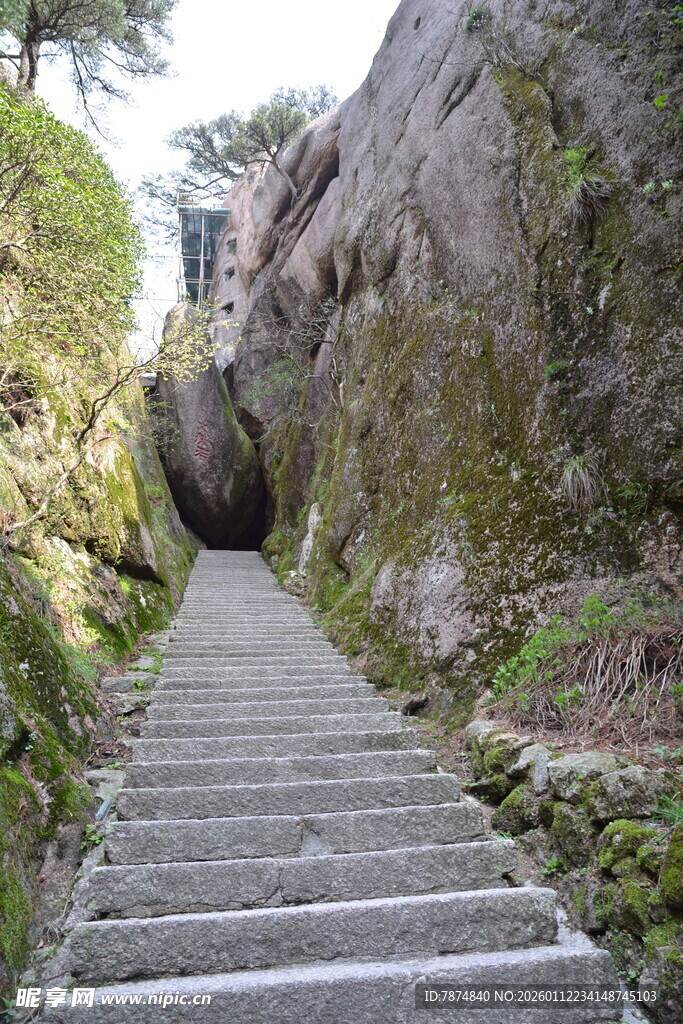 山间石阶小道 清幽景致