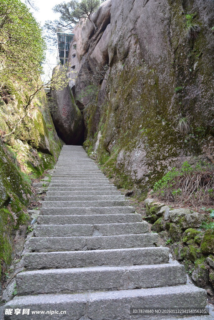 山间石阶蜿蜒入幽境