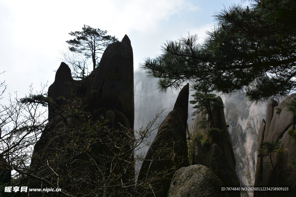 奇峻山石旁的挺拔松树