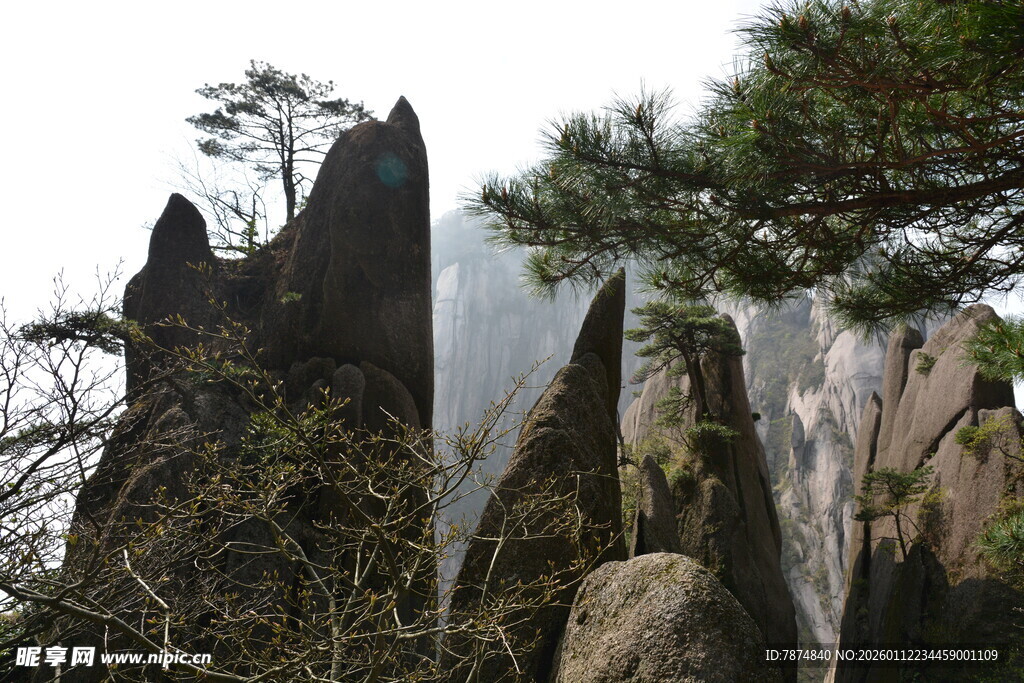 黄山奇峰与苍松景观