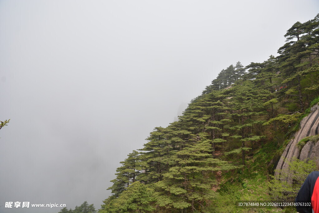 云雾缭绕的山间景致