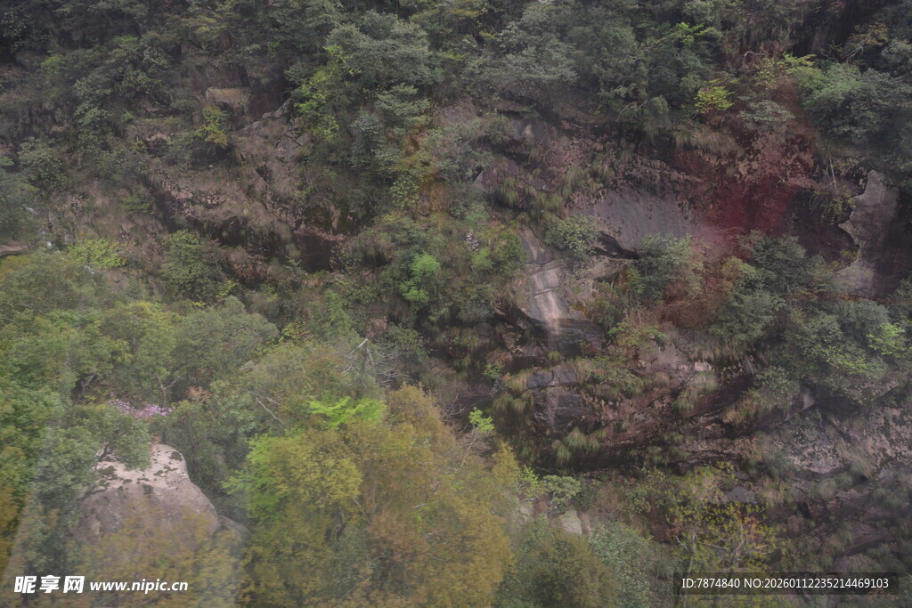 俯瞰茂密山林景观