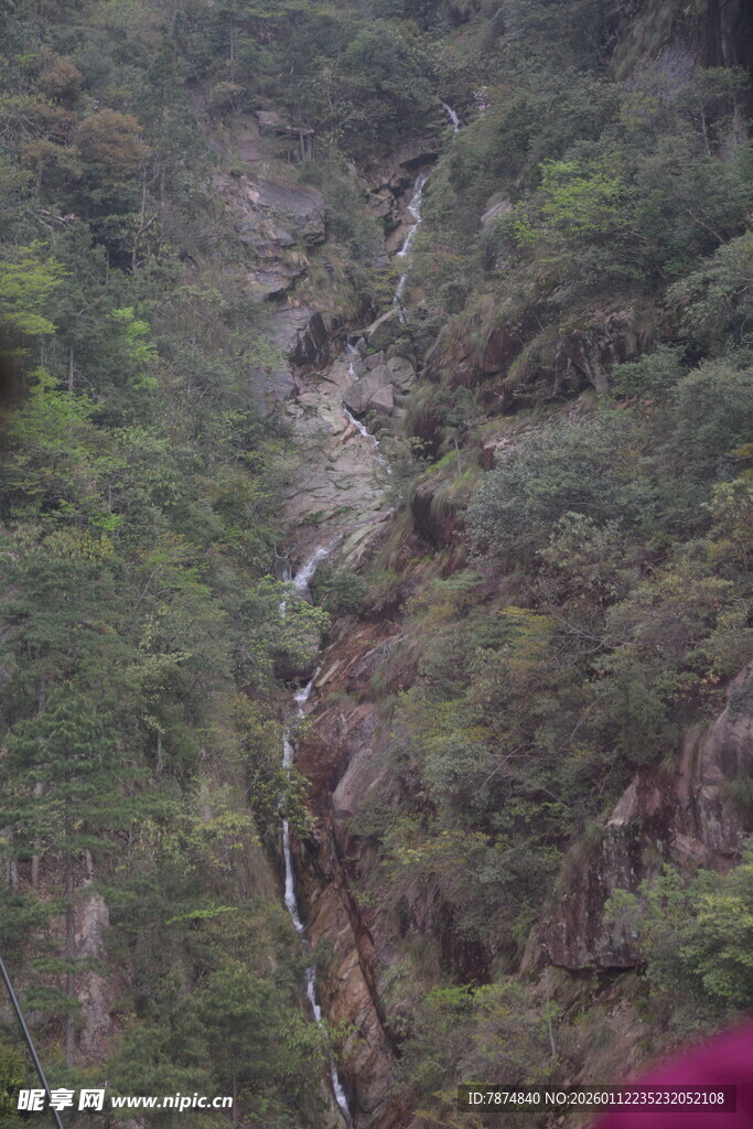 山间溪流穿林而过