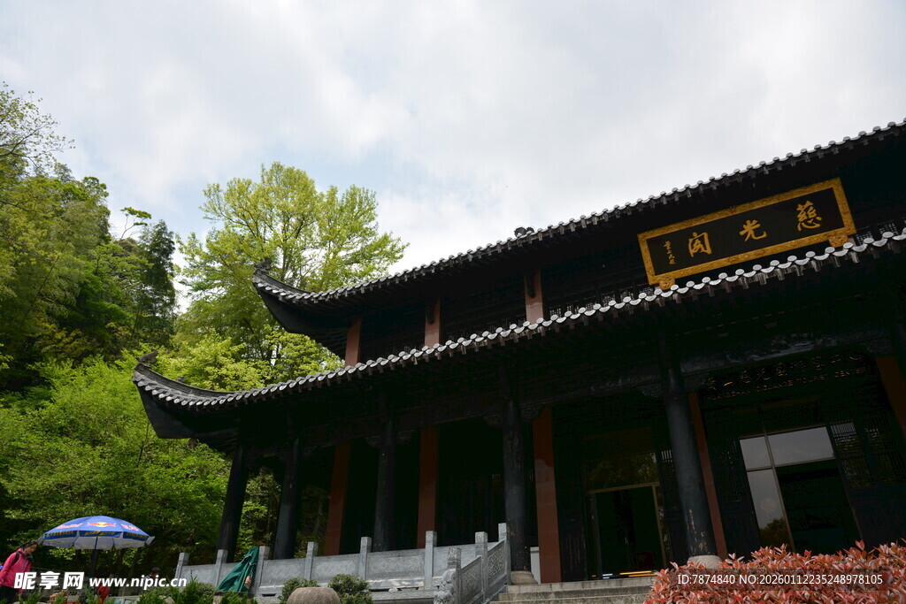 中式古建 掩映于绿树之间