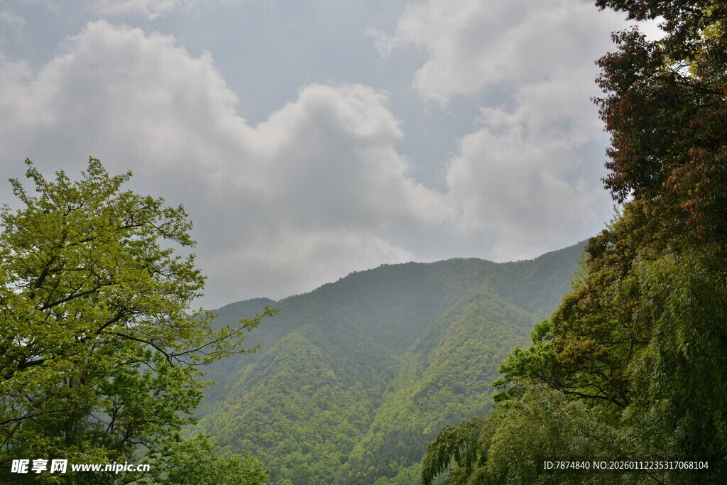 青山绿树间的云雾美景