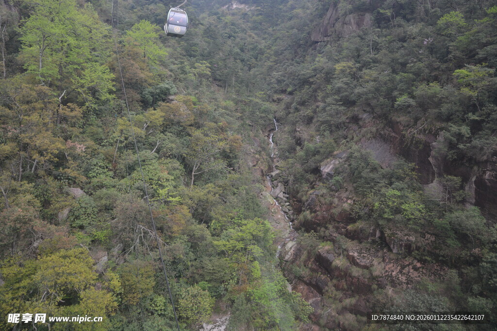 山间索道穿行茂密丛林