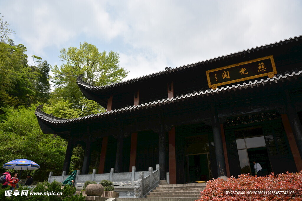 中式古建 静立绿荫之下