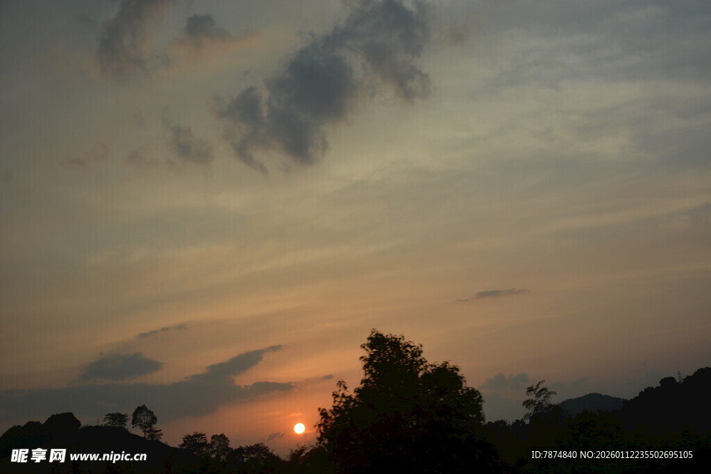 日落时分的树林美景