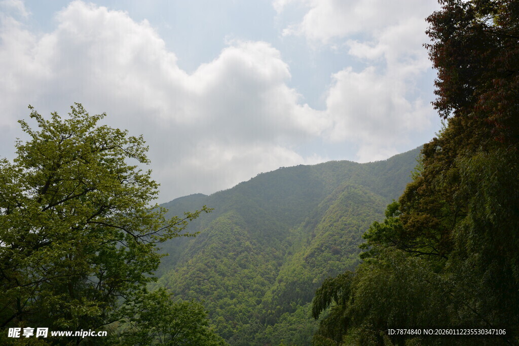 山间绿意 云绕青山美景