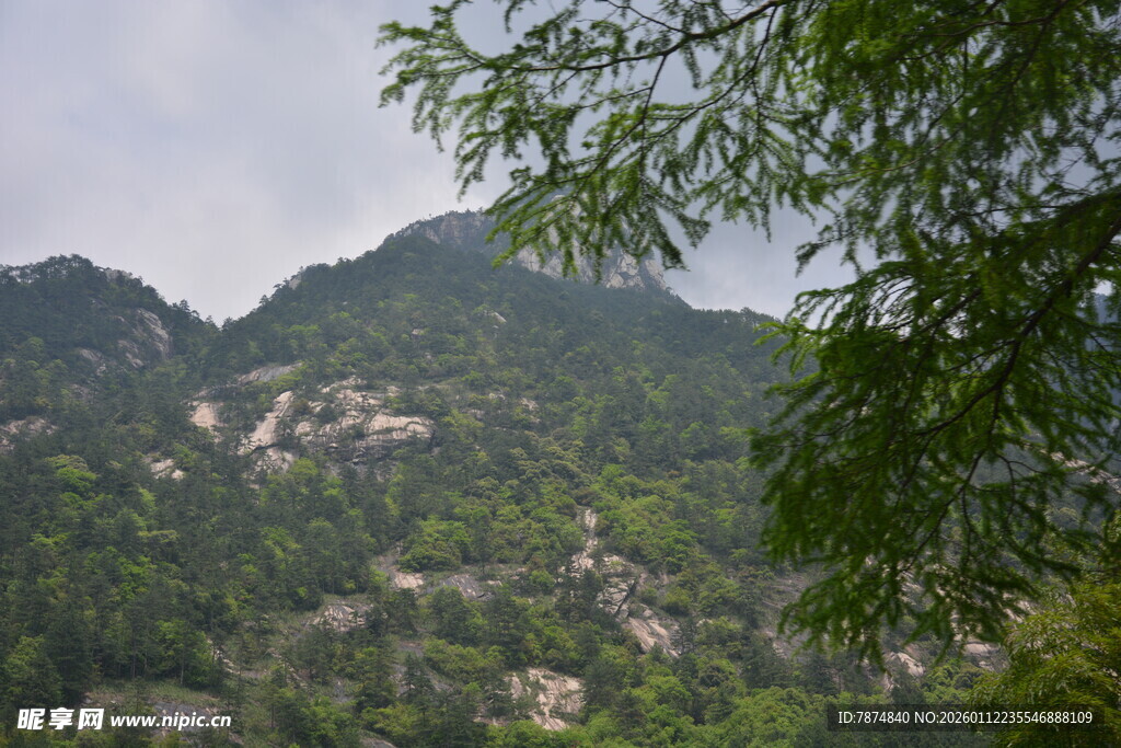 山间绿意盎然的秀丽景致
