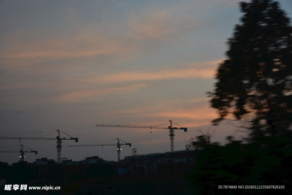 黄昏下的塔吊与树木景观