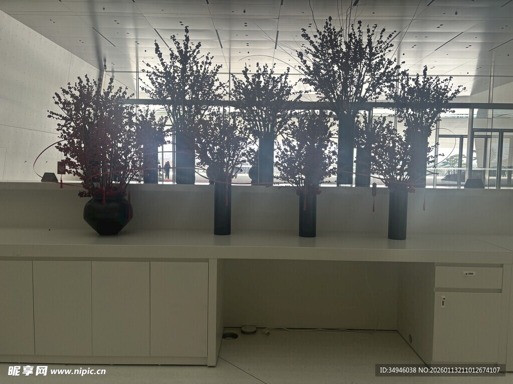 室内花瓶绿植装饰景观