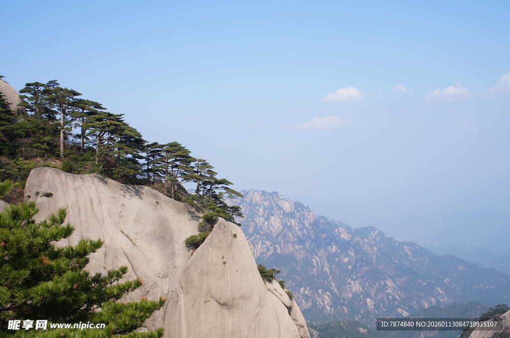 峻峭山峰上的翠绿松树
